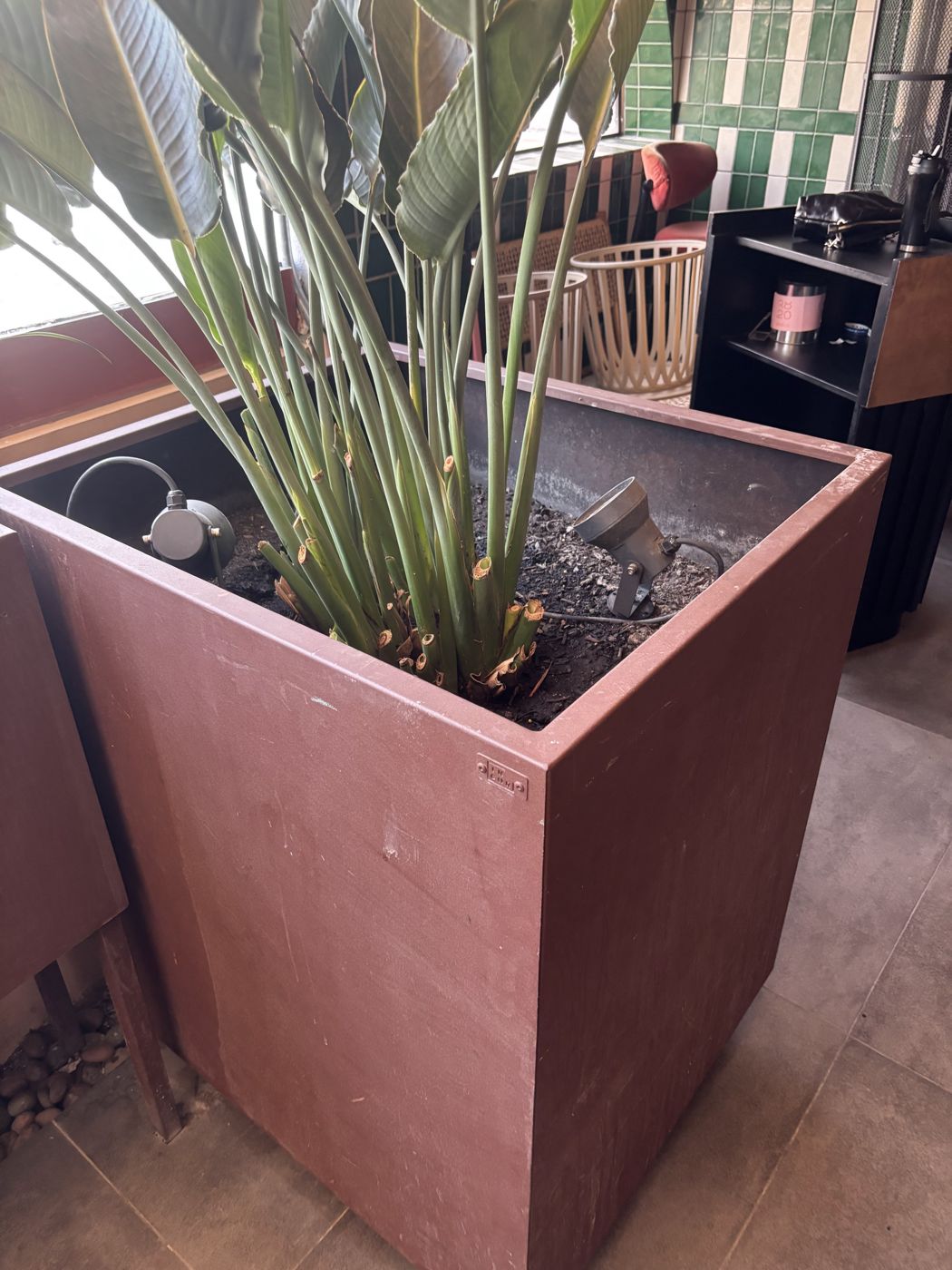 Macetero alto con plantas en Azotea