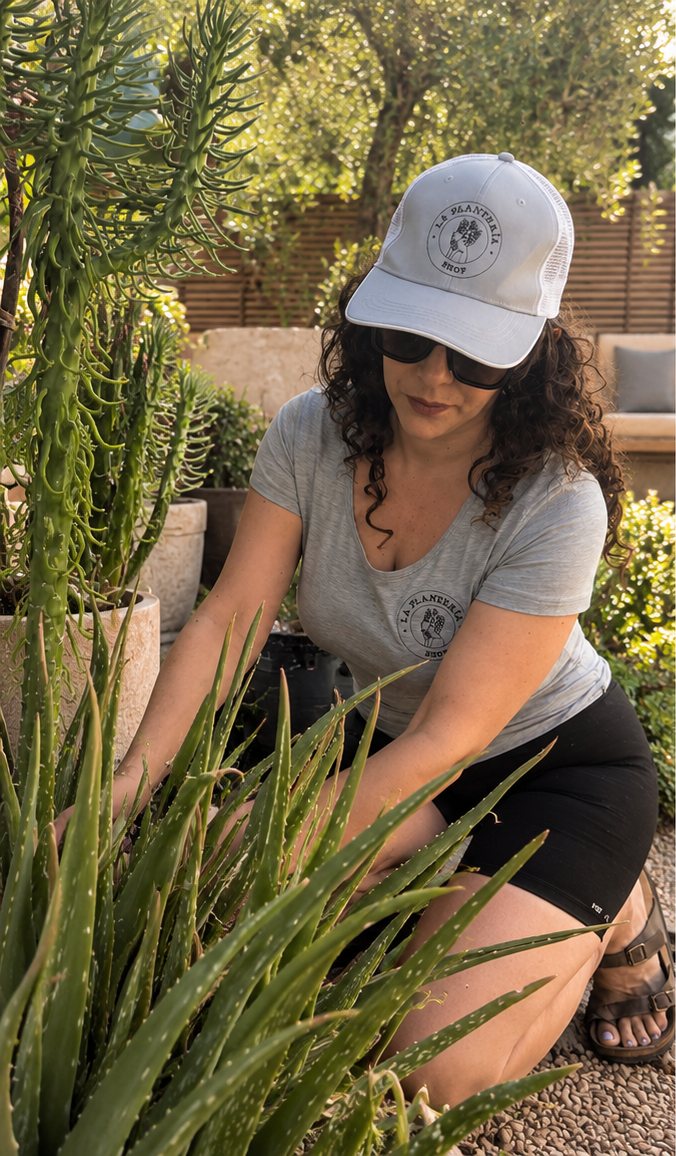 Persona de La Plantería revisando un cactus