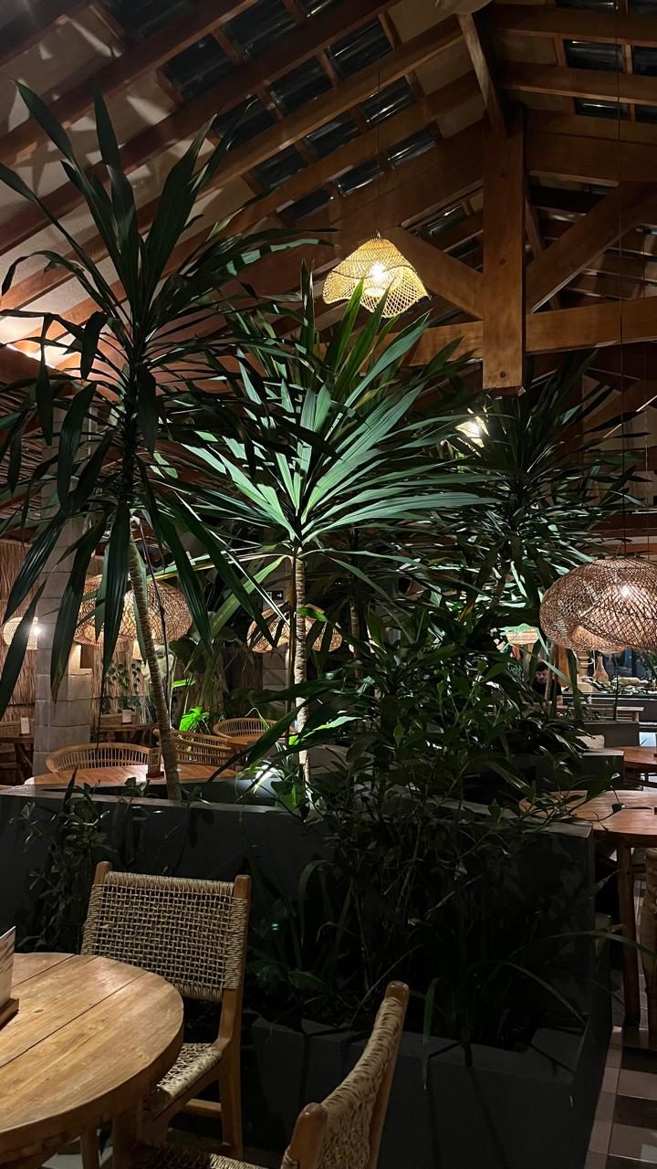 Restaurante de noche con grandes palmeras y plantas entre las mesas, bajo lámparas de mimbre